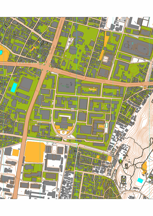 京都大学
